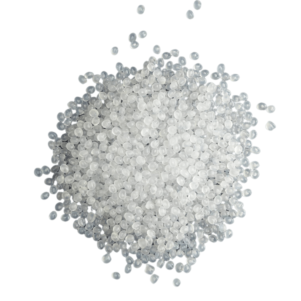 educaci&oacute;n f&iacute;sica